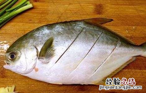 鲳鱼营养价值及功效与作用 鲳鱼营养价值及功效