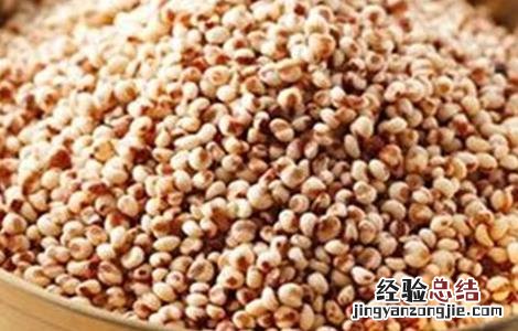 高粱的功效与作用及营养价值 高粱的功效与作用