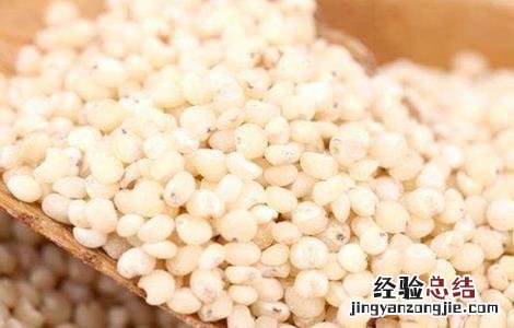 高粱的功效与作用及营养价值 高粱的功效与作用