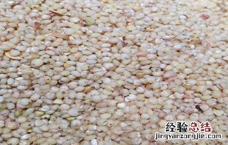 高粱的功效与作用及营养价值 高粱的功效与作用