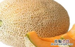 哈密瓜种子有什么功效 哈密瓜种子功效