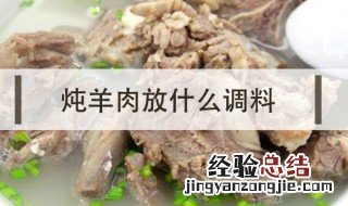 冬瓜羊肉汤放什么调料 羊肉汤放什么调料