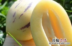人参果的作用和功效 人参果的作用