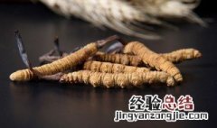 冬虫夏草的功效与作用及食用方法是什么 吃冬虫夏草的好处