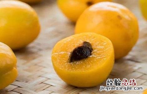 杏子的功效与作用禁忌 杏子的功效与作用