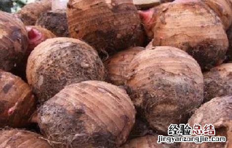 香芋有什么功效 香芋有什么功效吗