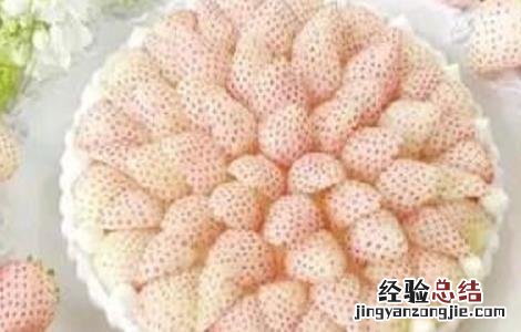 菠萝莓的功效与作用 菠萝莓的功效和作用