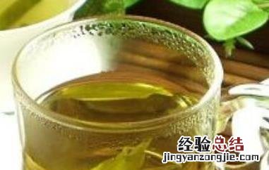 苦丁茶树的功效与作用有哪些 苦丁茶树叶有什么功效