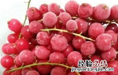 红醋栗的功效与作用与禁忌 红醋栗的功效与作用