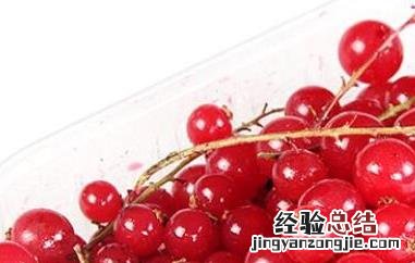 红醋栗的功效与作用与禁忌 红醋栗的功效与作用