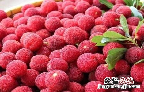 杨梅的功效与作用 冰冻杨梅的功效与作用