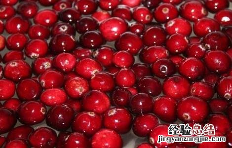蔓越莓的功效与作用对女性 蔓越莓的功效与作用