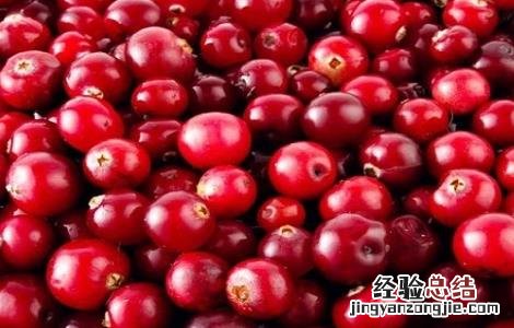 蔓越莓的功效与作用对女性 蔓越莓的功效与作用