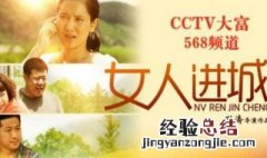 女人进城电视剧大结局 电视剧女人进城讲的是什么