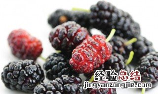 桑葚一天能吃多少 桑葚一天吃多少为宜