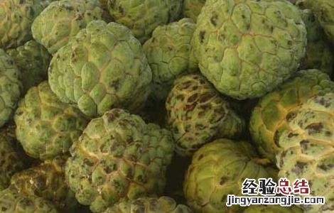 孕妇可以吃释迦果的功效与禁忌 释迦果的功效与禁忌