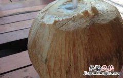 喝椰子水有什么好处 新冠喝椰子水有什么好处