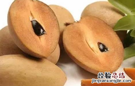 人心果的功效与作用 人参果的功效与作用