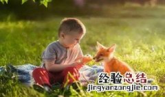 如何做可以增加孩子的智商 增加孩子的智商方法