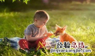 如何做可以增加孩子的智商 增加孩子的智商方法