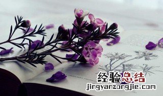 暗流涌动什么意思 波涛汹涌暗流涌动什么意思