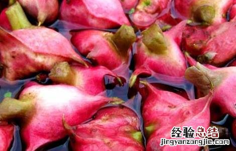 菱角的功效与作用及食用方法阿莫西林胶囊能治牙龈疼吗 菱角的功效与作用及食用方法