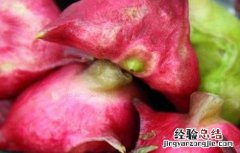 菱角的功效与作用及食用方法阿莫西林胶囊能治牙龈疼吗 菱角的功效与作用及食用方法
