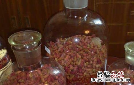 桑葚酒的功效与作用及禁忌 桑葚酒的功效与作用禁忌视频