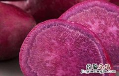 吃紫薯有什么好处 狗狗吃紫薯有什么好处
