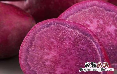 吃紫薯有什么好处 狗狗吃紫薯有什么好处