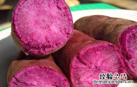 吃紫薯有什么好处 狗狗吃紫薯有什么好处