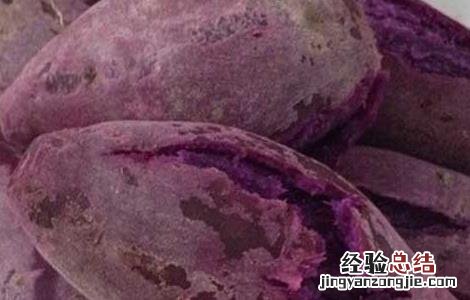 吃紫薯有什么好处 狗狗吃紫薯有什么好处