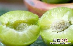 李子酒的功效及酿制方法 李子酒的功效及酿制方法视频