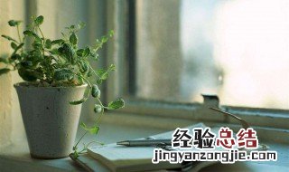 仓颉的贡献是什么 仓颉对汉字的贡献有哪些