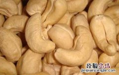 吃腰果有什么好处和功效 吃腰果有什么好处