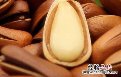 女性吃松子有什么好处 吃松子有什么好处