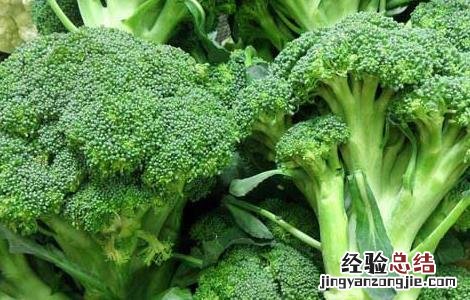 西兰花的功效与作用及食用方法 西兰花的功效与作用及食用方法禁忌
