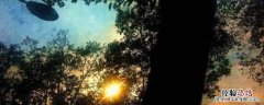 往事一场空还如一梦中的含义 当往事浮现恍然如梦一场是什么意思