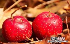 吃山楂有什么好处