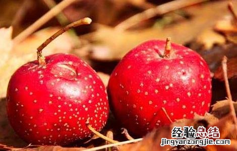 吃山楂有什么好处