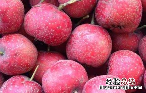 吃山楂有什么好处