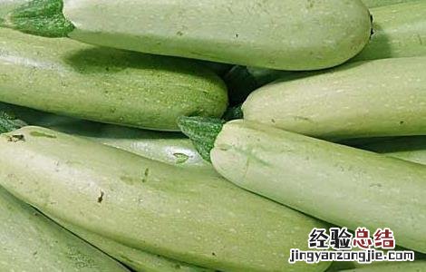 西葫芦 营养 西葫芦的营养价值及食用方法