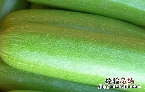 西葫芦 营养 西葫芦的营养价值及食用方法