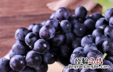 黑加仑和葡萄的区别图片 黑加仑和葡萄的区别
