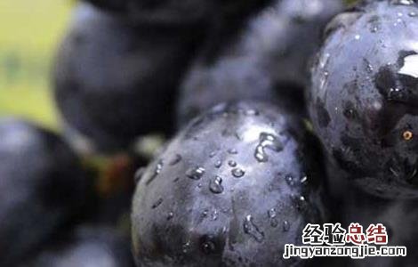 黑加仑的功效与作用及食用禁忌 黑加仑有什么功效与作用禁忌