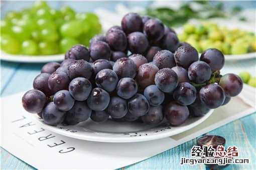 农业种植致富项目有哪些 种植致富20个好项目