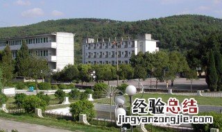 柳城中学办学时间 柳城中学办学时间是多少
