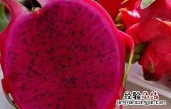 红心火龙果的功效与作用 红心火龙果的功效与作用上火还是降火