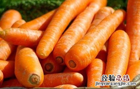 胡萝卜的功效与作用及禁忌