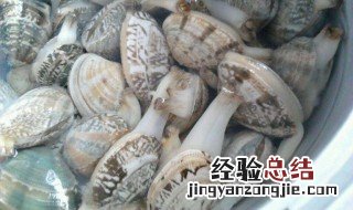 花甲在水里能放多久 花甲放水里可以存活多久